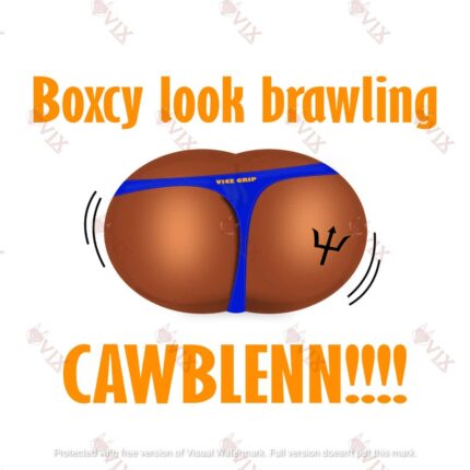 Bamsey - Look Brawlin' Graphic